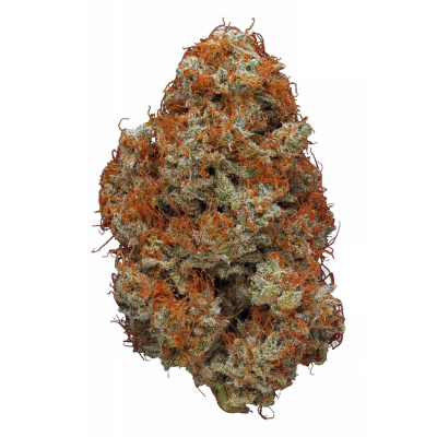 Fiori di Cbd - Lema Mary' s Amnesia - 2gr -